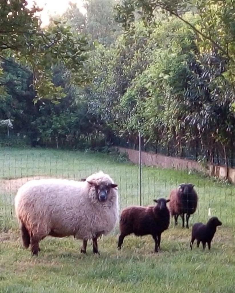 deco_photo1_85733468290561